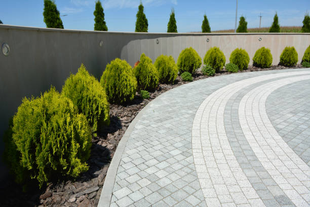 Best Driveway Paving Contractor  in Old Orchard, PA